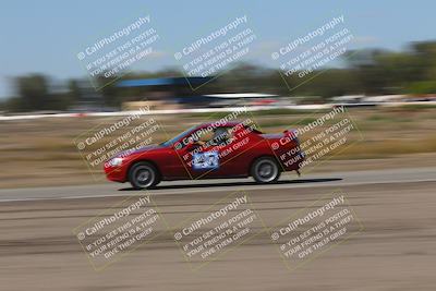 media/Oct-04-2025-OnGrid (Sat) [[44bd565ffa]]/Purple Group/Grapevine/